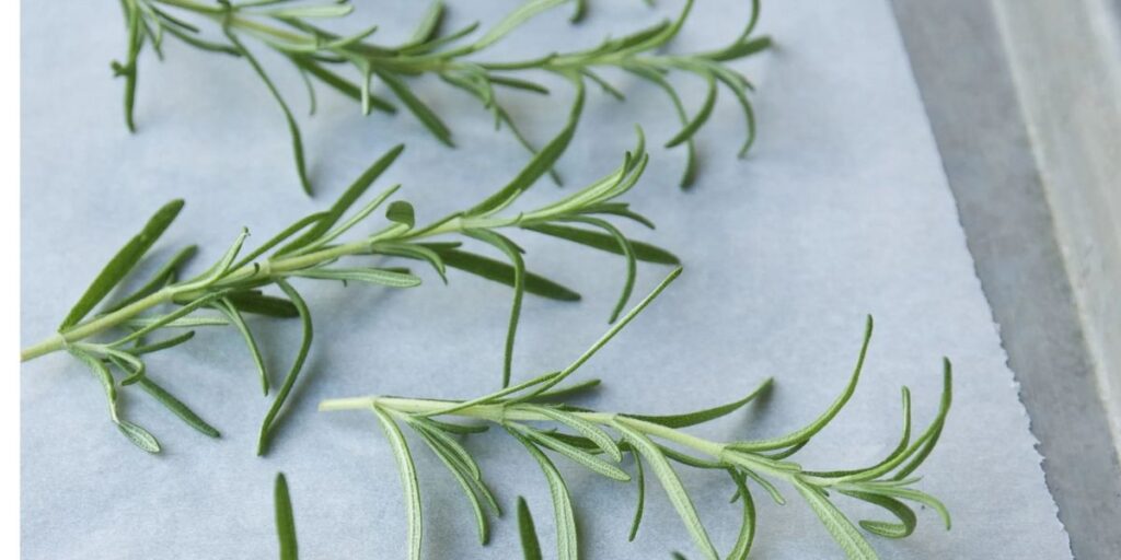 fresh rosemary