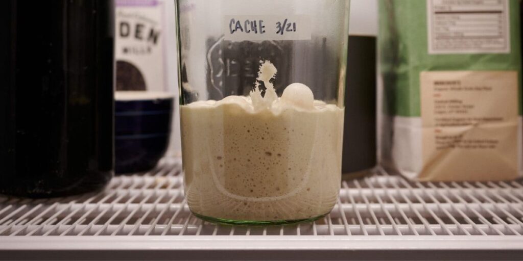 How to Store Sourdough Discard in fridge