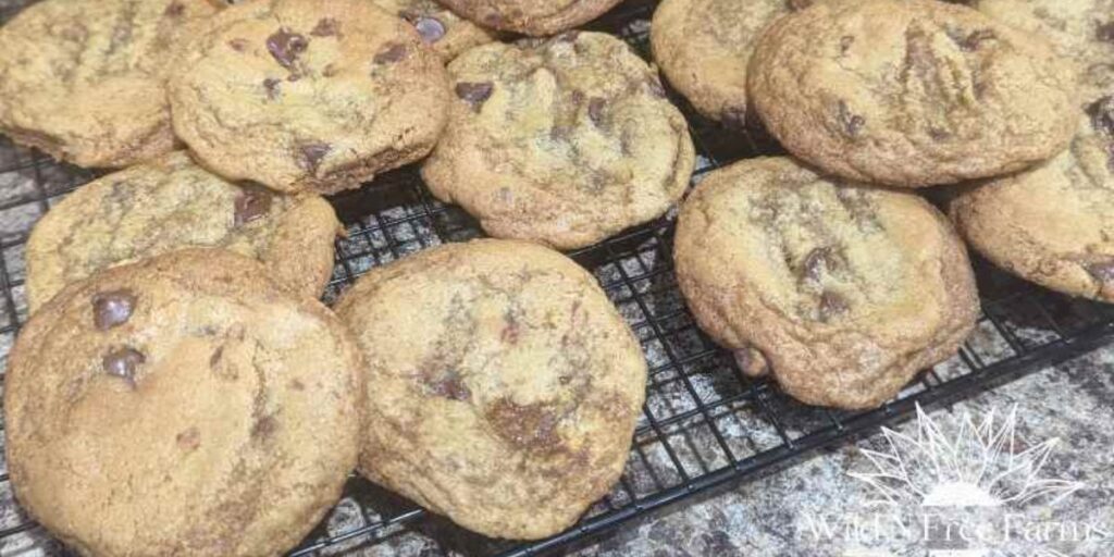 how to bake the chocolate chip cookies