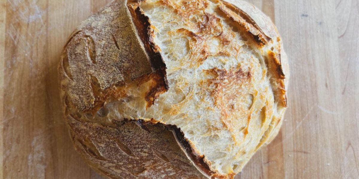 OverProofed Sourdough
